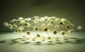 Makiko Wakisaka, Japan - Floating Oasis, 2016.