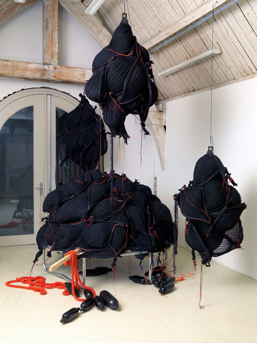 Karin van Dam, The Polyp form of the Red Eye Medusa 2 - foto Tom Haartsen.