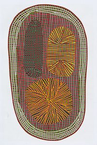 Amoeba van Studio Bertjan Pot, 2015, 393 x 252 cm - foto Moooi Carpets.